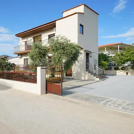 Maria Dina 1 * ポトス